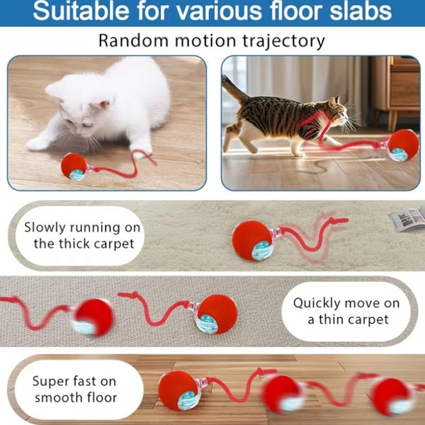 Interactive Cat & Dog Toy Ball with Tail - Automatic Random Movement3
