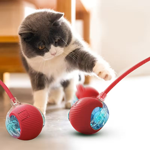Interactive Cat & Dog Toy Ball with Tail - Automatic Random Movement2