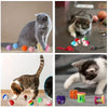 Puffles Ultimate Kitty Carnival | 14-Piece Mixed Cat Toy Pack