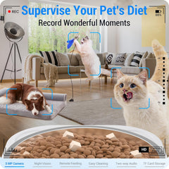 Smart Pet Feeder with Camera (Frienhund)