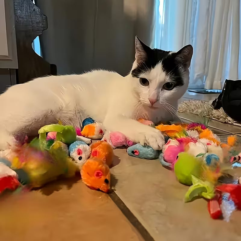 puffles-ultimate-kitty-carnival-14-piece-mixed-cat-toy-pack