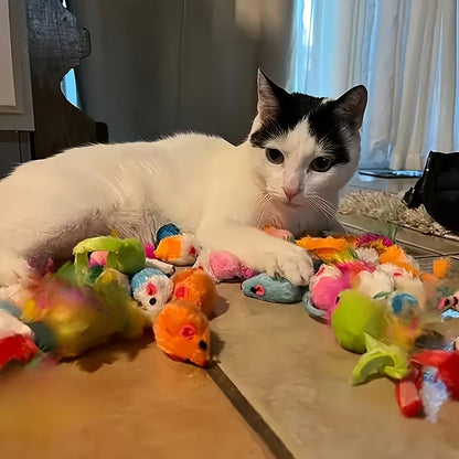 Puffles Ultimate Kitty Carnival | 14-Piece Mixed Cat Toy Pack4