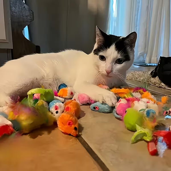 Puffles Ultimate Kitty Carnival | 14-Piece Mixed Cat Toy Pack4
