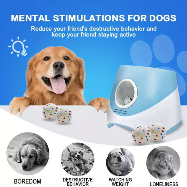 Automatic Interactive Pet Ball Launcher9